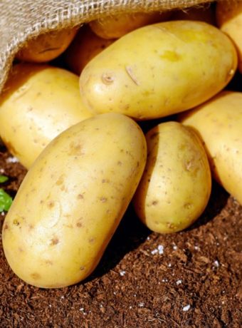 potatoes-1585075_1920