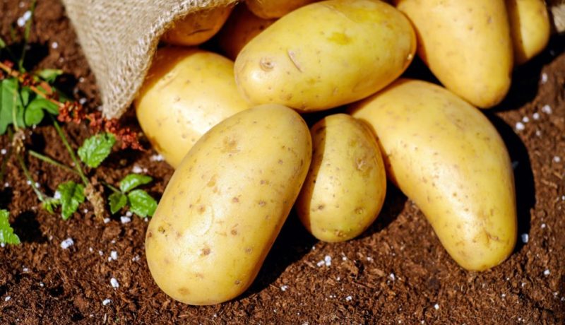 potatoes-1585075_1920